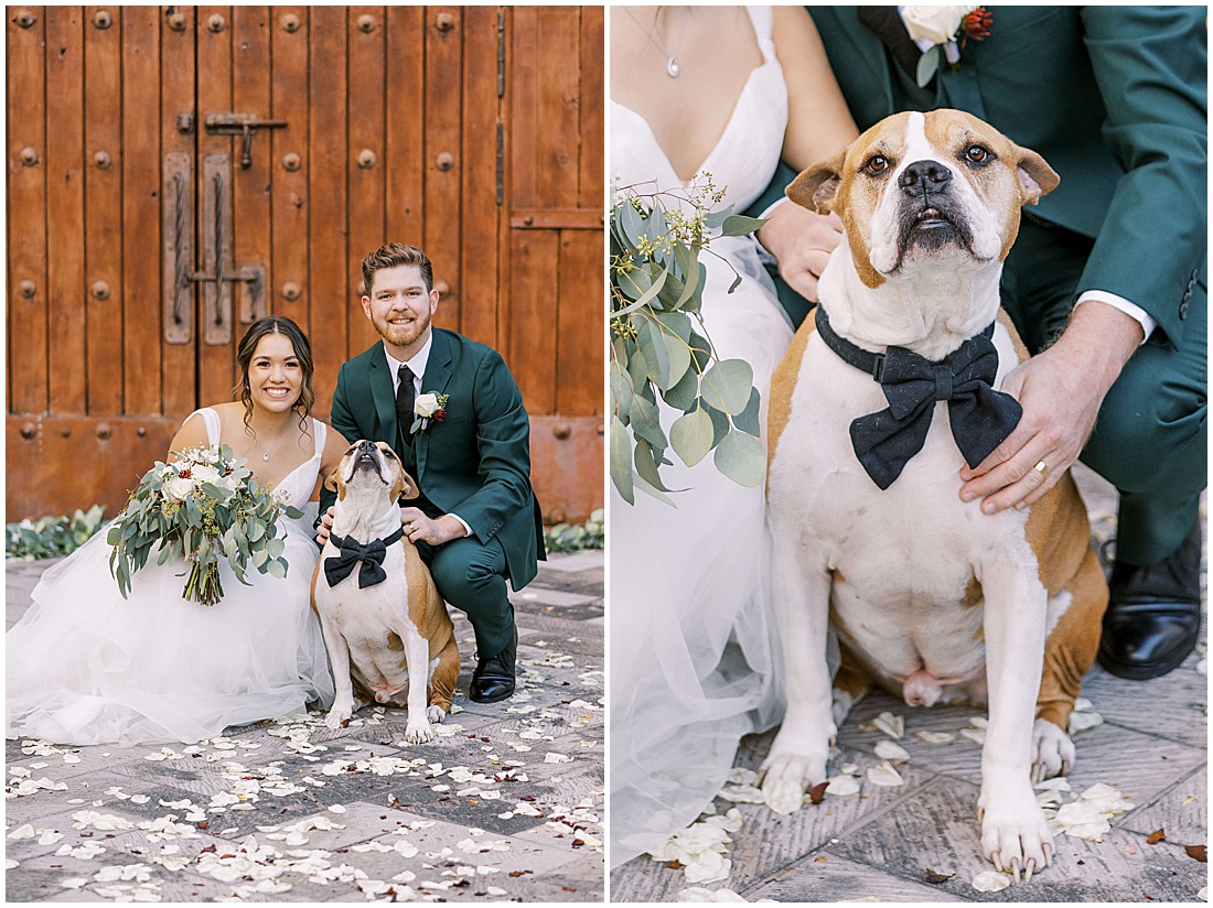 Bride and Groom with their dog on their wedding day because The Ritz-Carlton Laguna Niguel is pet-friendly